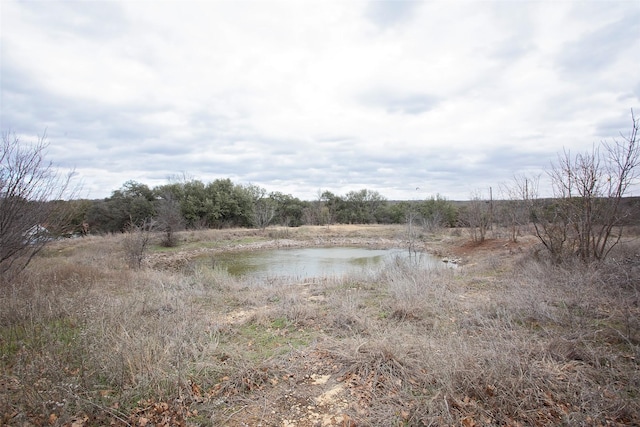 view of landscape with a water view