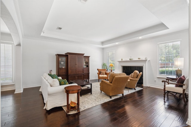 living room with dark wood-style floors, a tray ceiling, and a fireplace with flush hearth