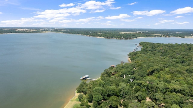 drone / aerial view featuring a water view and a forest view