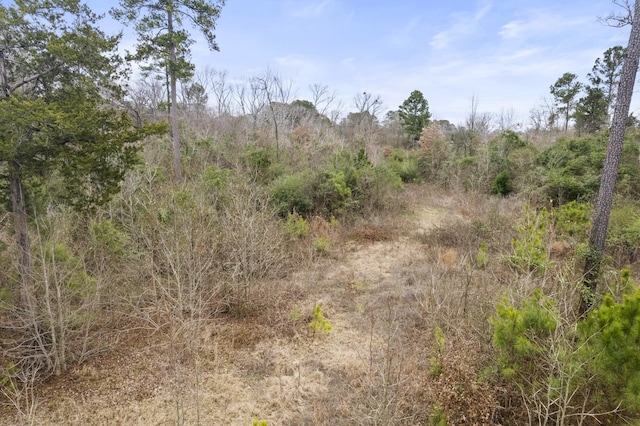 Listing photo 3 for TBD Fm 593, Gilmer TX 75644