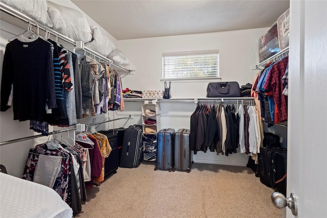 spacious closet with carpet