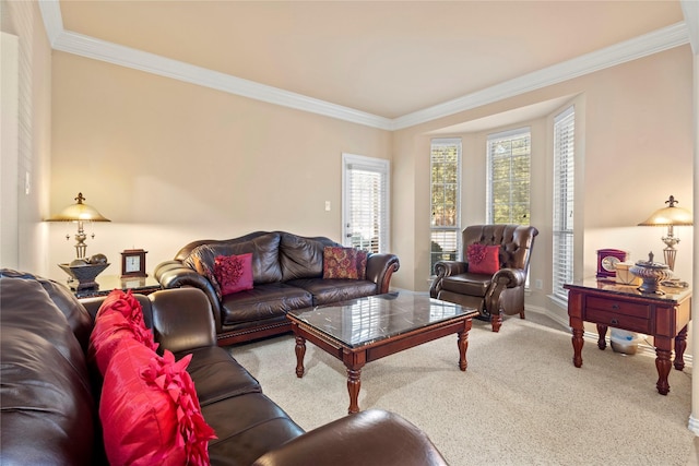 living area featuring carpet floors, baseboards, and ornamental molding