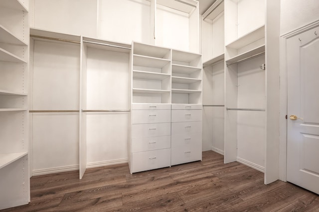 spacious closet with dark wood finished floors