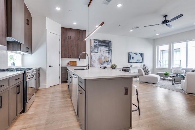 kitchen with light wood finished floors, open floor plan, stainless steel appliances, light countertops, and a sink