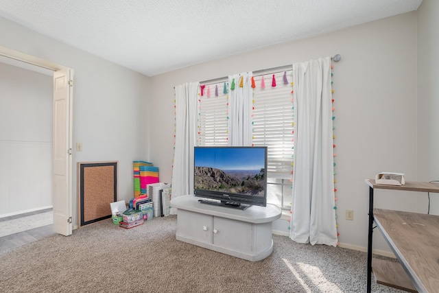 recreation room with a textured ceiling and carpet flooring