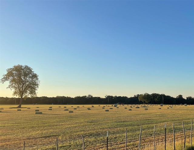 view of local wilderness with a rural view