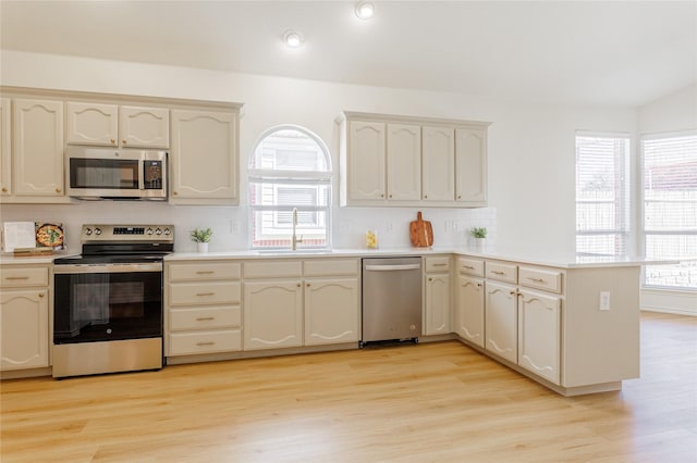 kitchen with a peninsula, appliances with stainless steel finishes, a sink, and a wealth of natural light