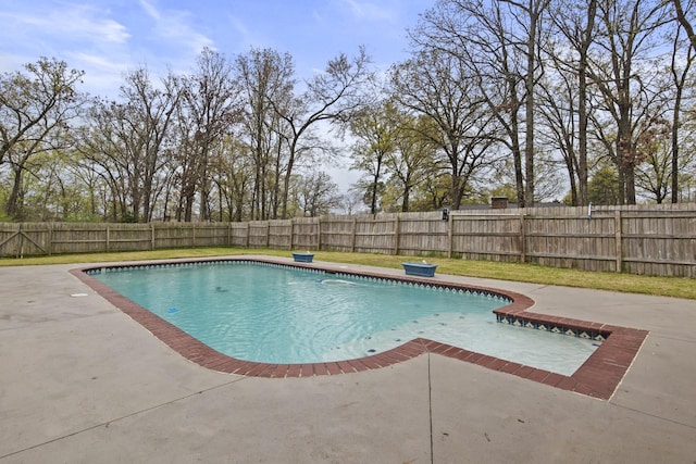 view of pool with a fenced in pool, a fenced backyard, and a patio