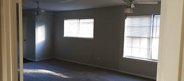 carpeted empty room with plenty of natural light, a ceiling fan, and baseboards