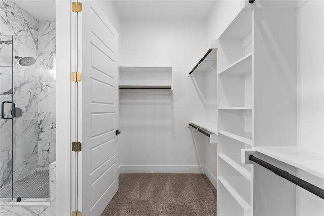 spacious closet with dark colored carpet