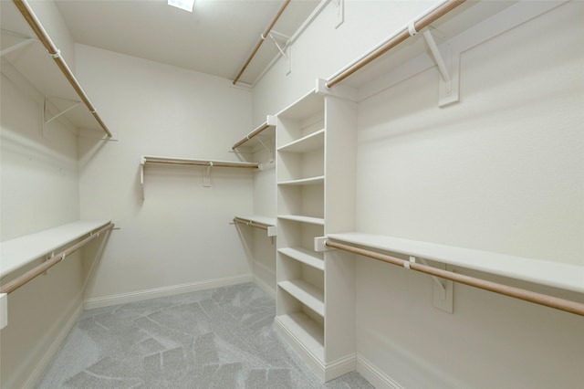 spacious closet featuring light colored carpet