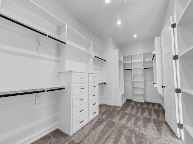 walk in closet featuring carpet floors