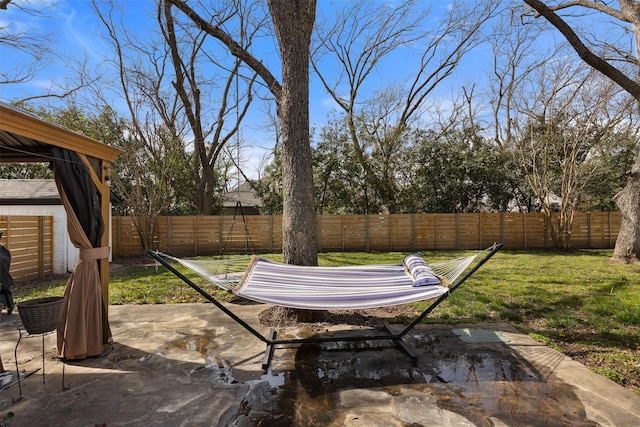 view of yard with a patio area and a fenced backyard