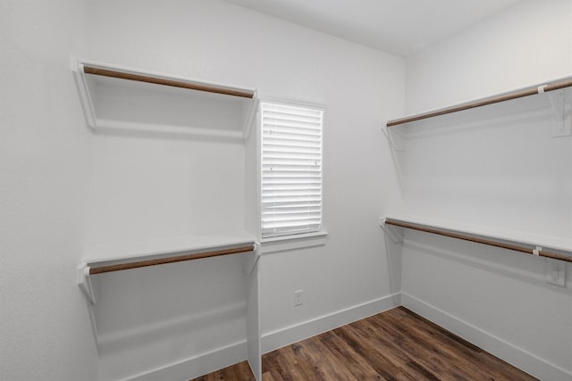 spacious closet with dark wood-style floors