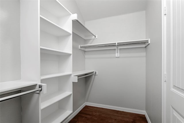 spacious closet with dark wood-type flooring