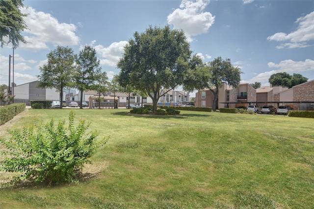 view of yard featuring a residential view