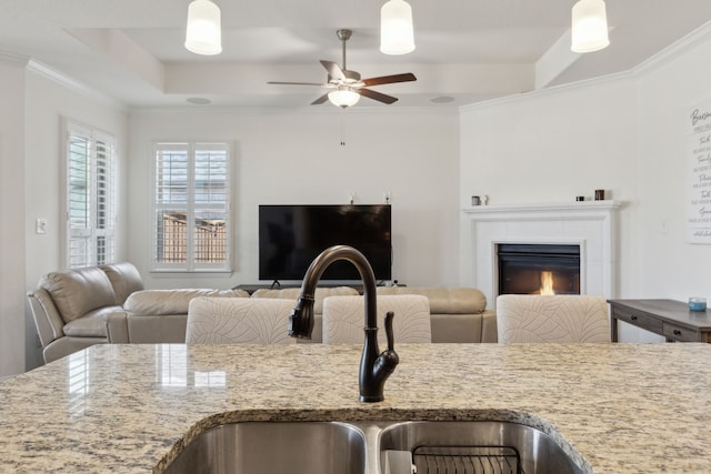 kitchen with ornamental molding, open floor plan, a raised ceiling, and a sink