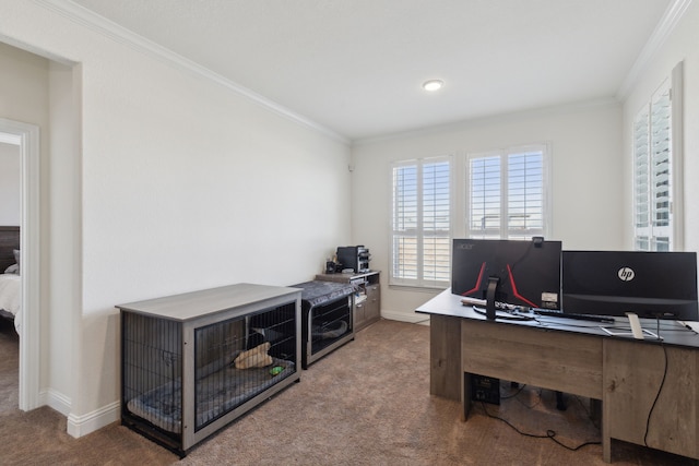 office area with carpet, crown molding, and baseboards