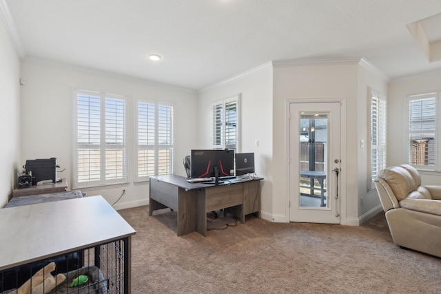 office area featuring crown molding, baseboards, and carpet flooring