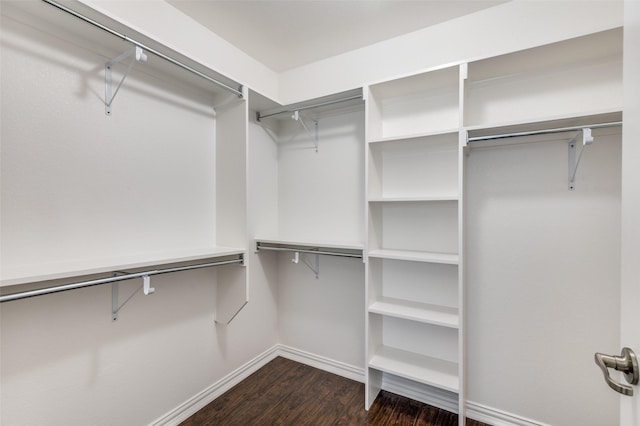 walk in closet with dark wood-type flooring