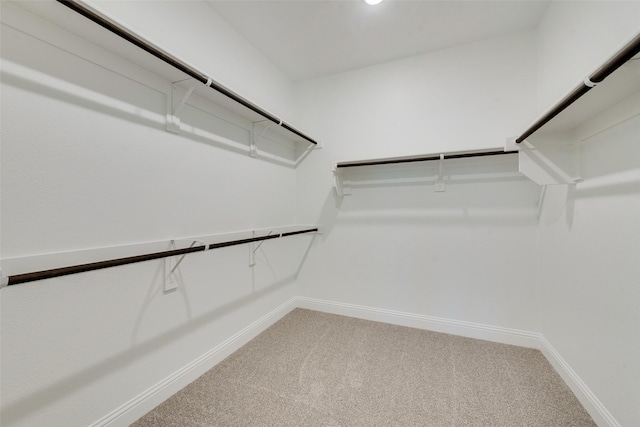 spacious closet featuring light carpet