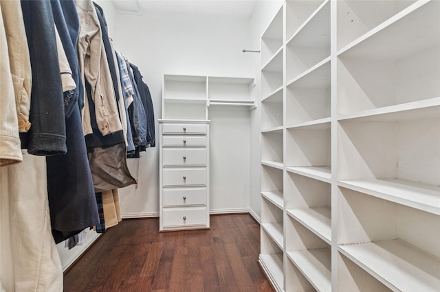 spacious closet featuring dark wood-style floors