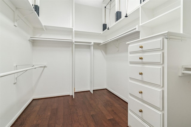 spacious closet featuring dark wood-style flooring