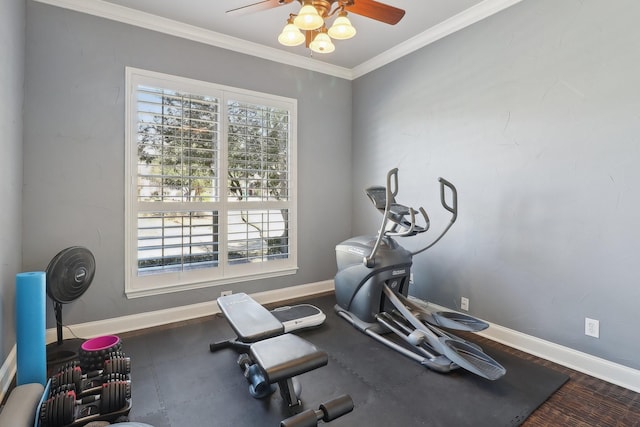 workout area featuring ornamental molding, a healthy amount of sunlight, and baseboards