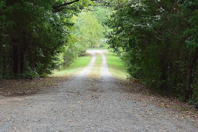 view of road