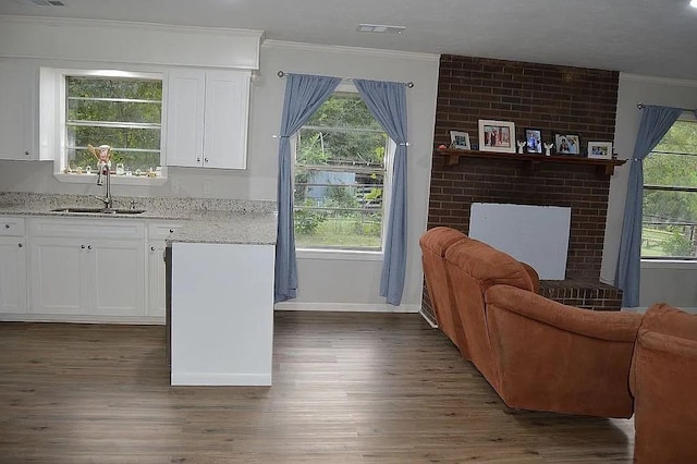 kitchen with dark wood finished floors, open floor plan, crown molding, white cabinetry, and a sink