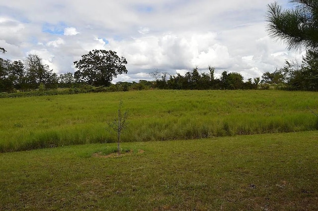 view of landscape