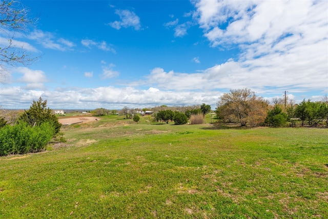 view of yard with a rural view