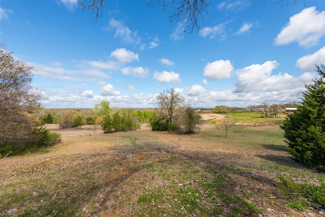 view of yard featuring a rural view