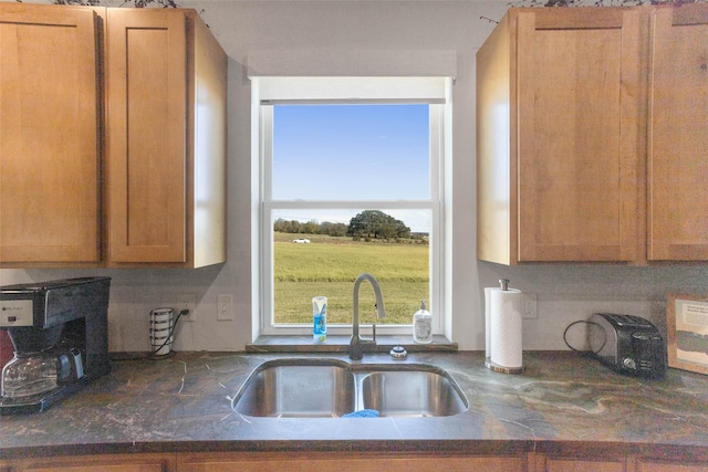 kitchen featuring brown cabinetry and a sink