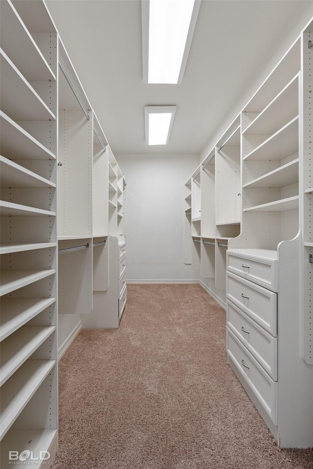 walk in closet with light carpet