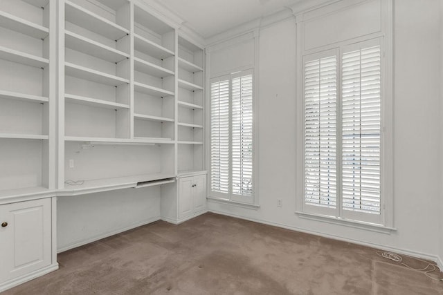 interior space featuring carpet flooring and built in study area