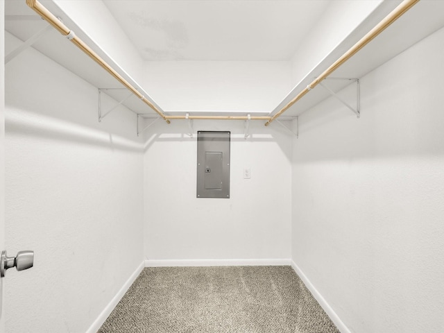 spacious closet featuring carpet and electric panel