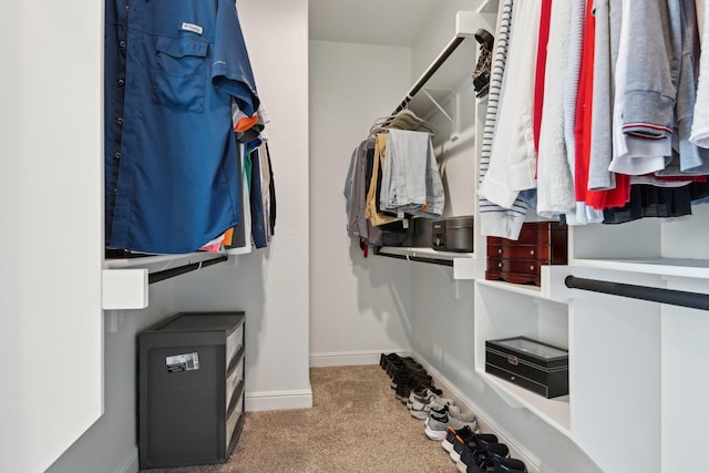 spacious closet with carpet