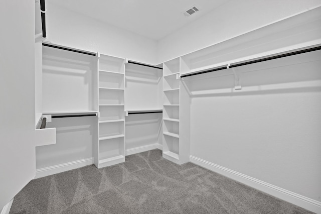 walk in closet featuring carpet and visible vents