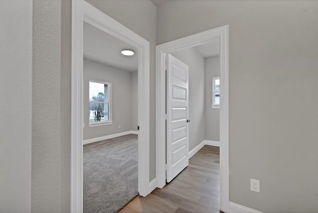 corridor with carpet, baseboards, and wood finished floors