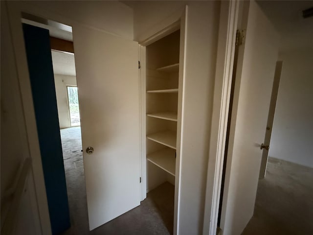 view of closet