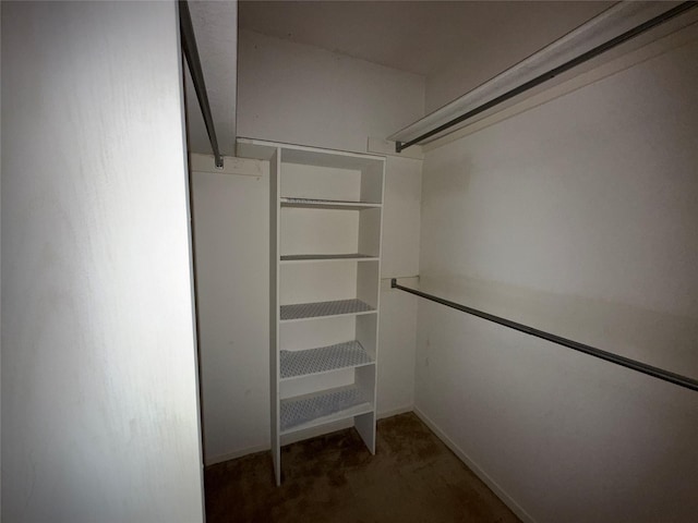 spacious closet featuring carpet