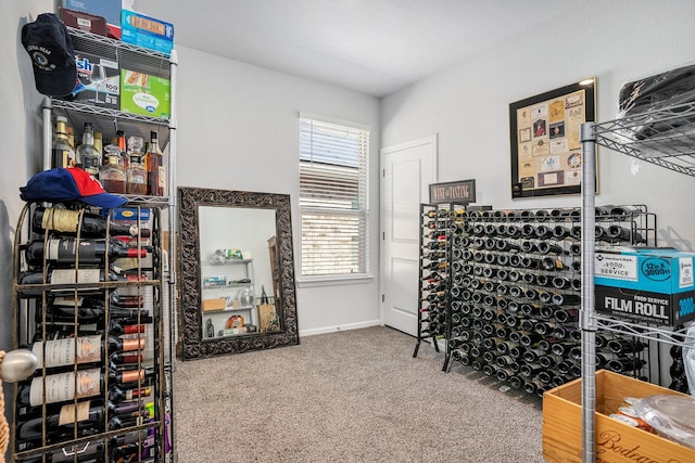 wine cellar with carpet floors