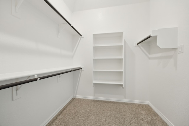 2013 Forest Wood, Mesquite, TX 75181 - spacious closet with light carpet