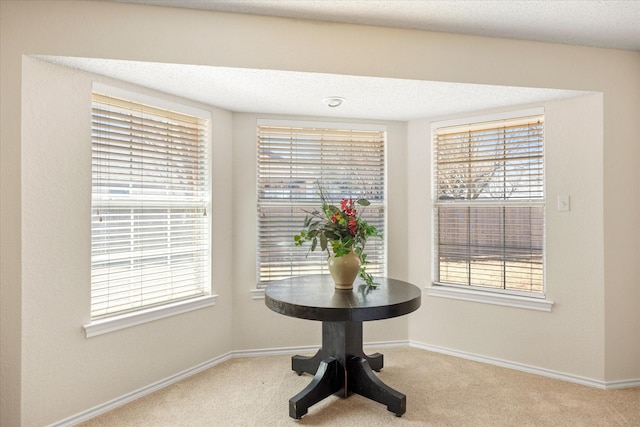 details featuring a textured ceiling, baseboards, and carpet flooring