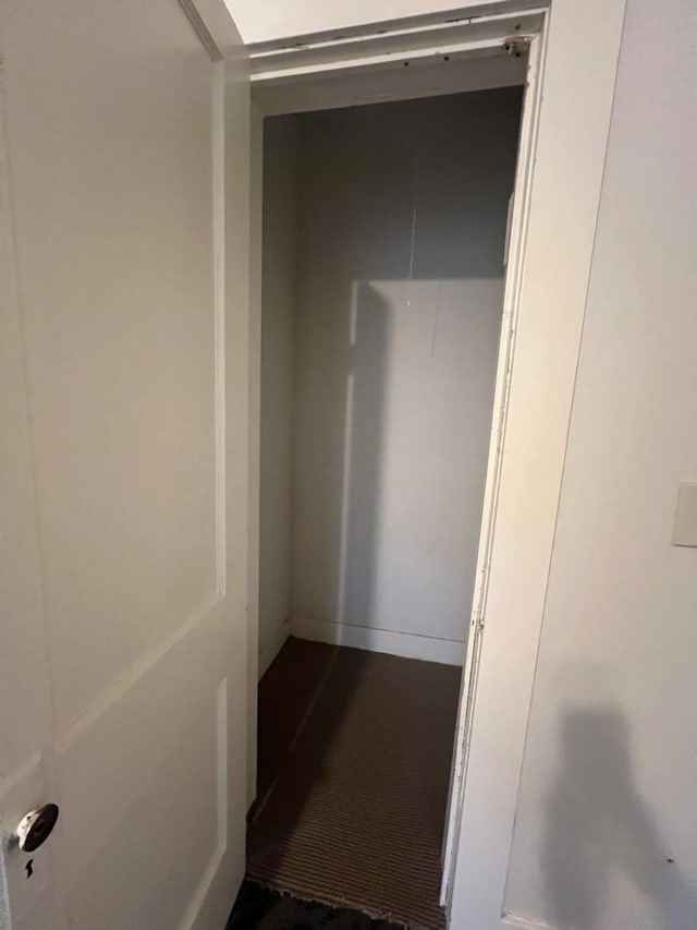 view of closet