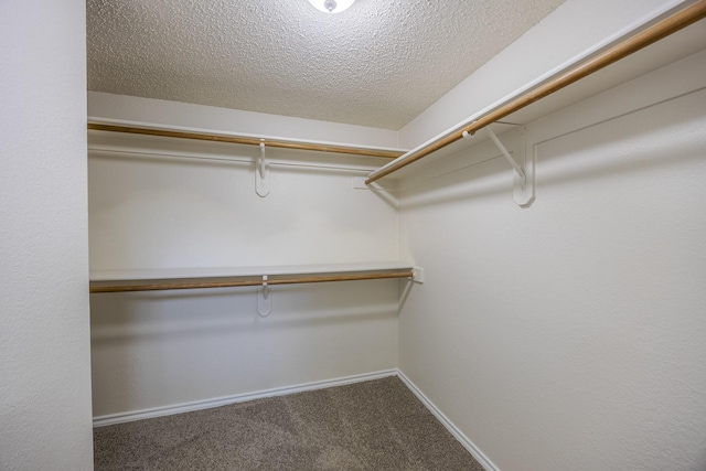 spacious closet with carpet flooring