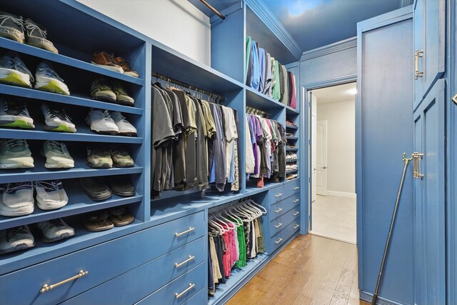 walk in closet with light wood-style flooring