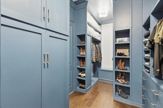 walk in closet with dark wood-type flooring