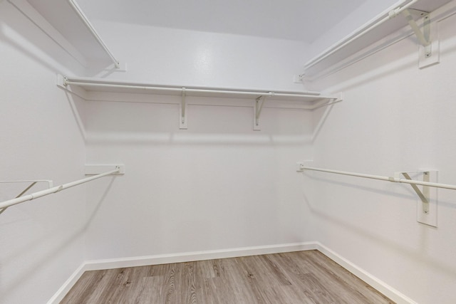 walk in closet with light wood-type flooring